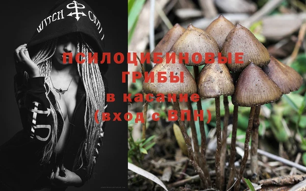 дживик Беломорск