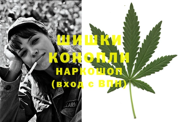 дживик Беломорск