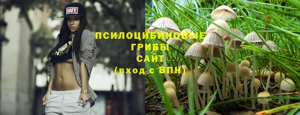 дживик Беломорск