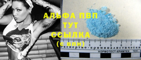 дживик Беломорск